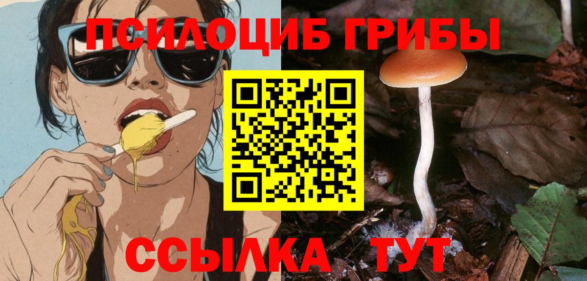 Псилоцибиновые грибы прущие грибы  Вход с VPN  Азов  Галлюциногенные грибы Magic Shrooms 